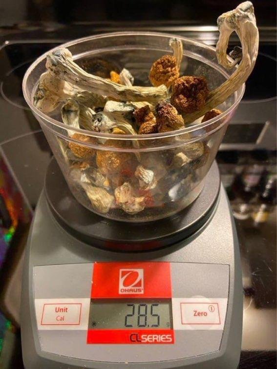 dried shrooms scaled 1